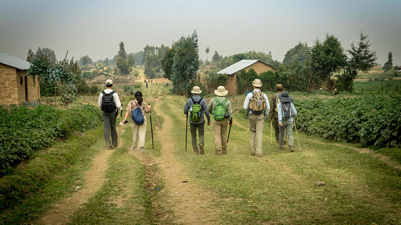 What Level Of Fitness Is Required To Track Gorillas In Bwind